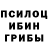 Галлюциногенные грибы ЛСД Parsa Alavi