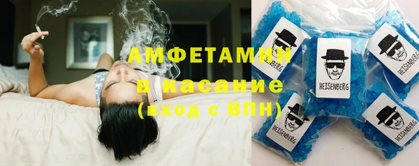 индика Дмитриев