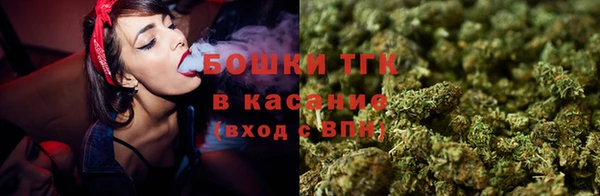 прущие грибы Дмитров