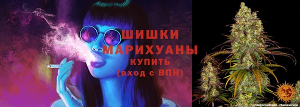 индика Дмитриев