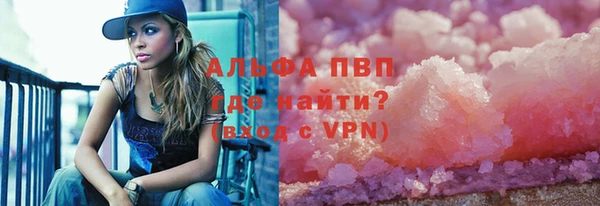 прущие грибы Дмитров