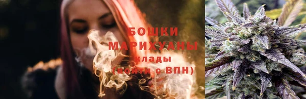 индика Дмитриев