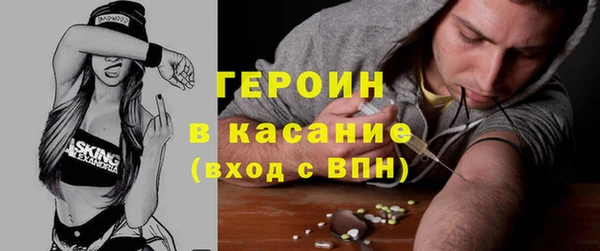 индика Дмитриев