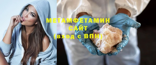 индика Дмитриев
