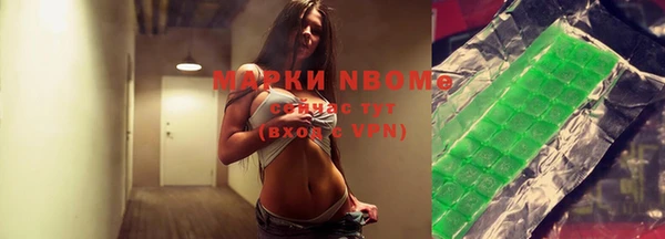 прущие грибы Дмитров
