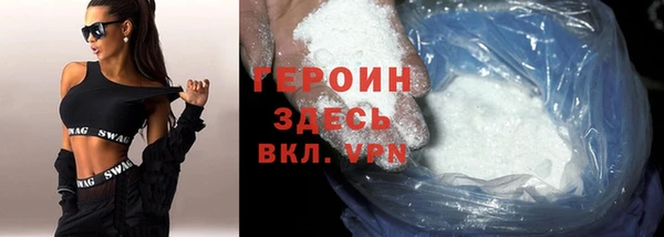 индика Дмитриев