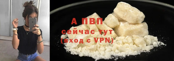 прущие грибы Дмитров
