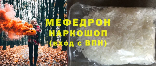 индика Дмитриев