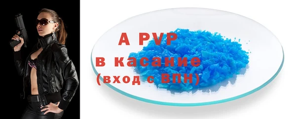индика Дмитриев