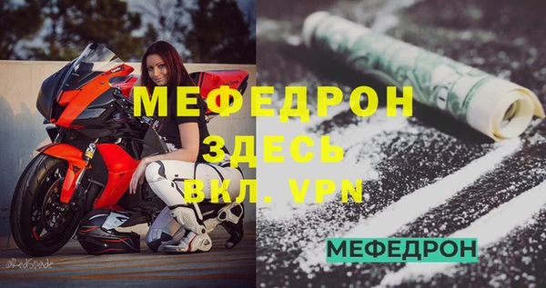 индика Дмитриев