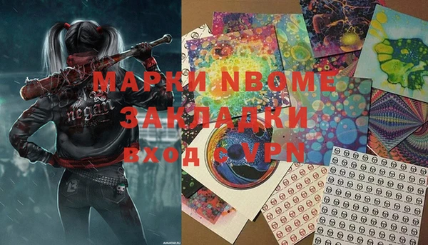 индика Дмитриев