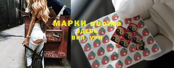 индика Дмитриев