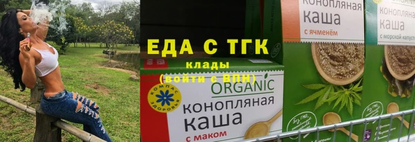 индика Дмитриев