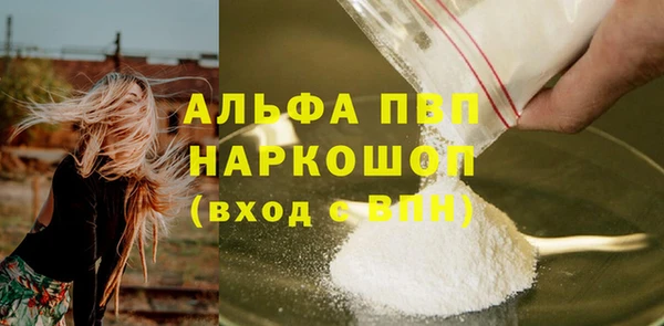 индика Дмитриев