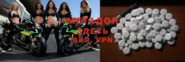 прущие грибы Дмитров