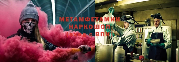 индика Дмитриев