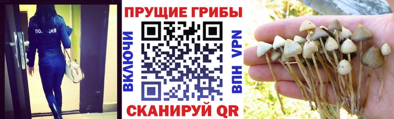 Галлюциногенные грибы ЛСД Сковородино