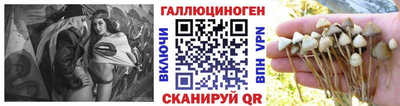 Галлюциногенные грибы прущие грибы  Сковородино 